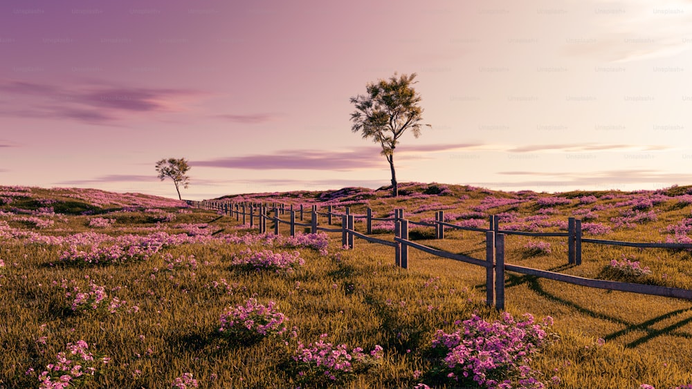 a field with purple flowers and a wooden fence