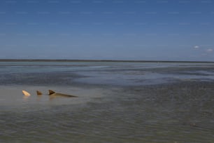 a large object floating on top of a body of water