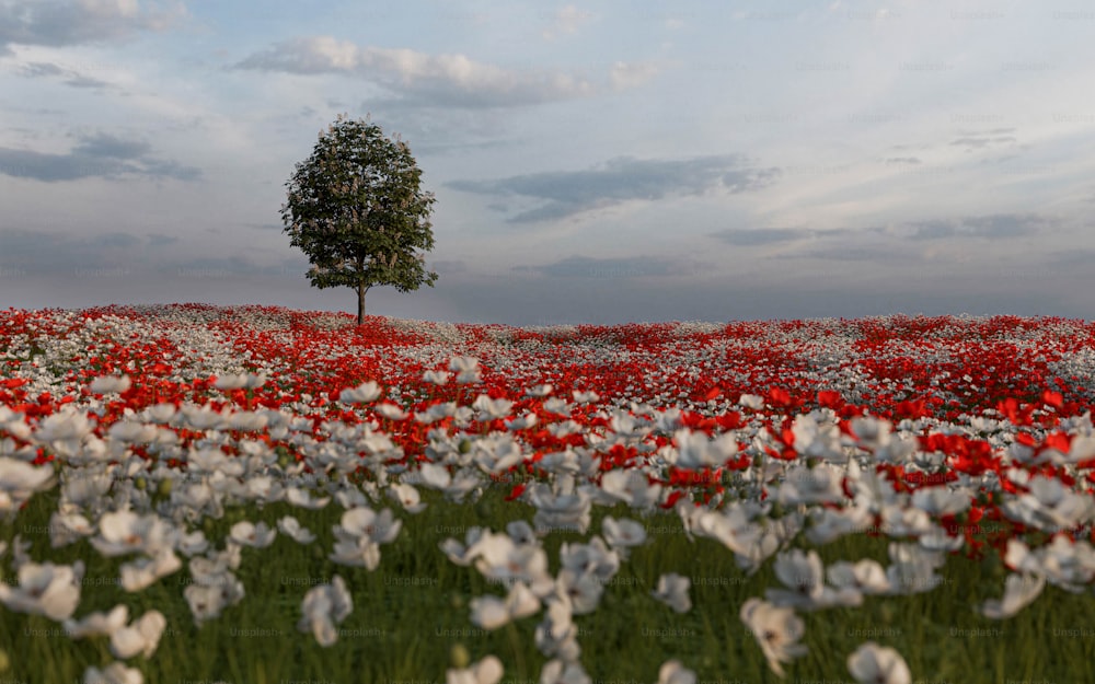 a field full of white and red flowers under a cloudy sky