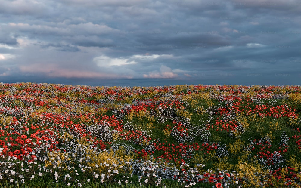 a field full of flowers under a cloudy sky