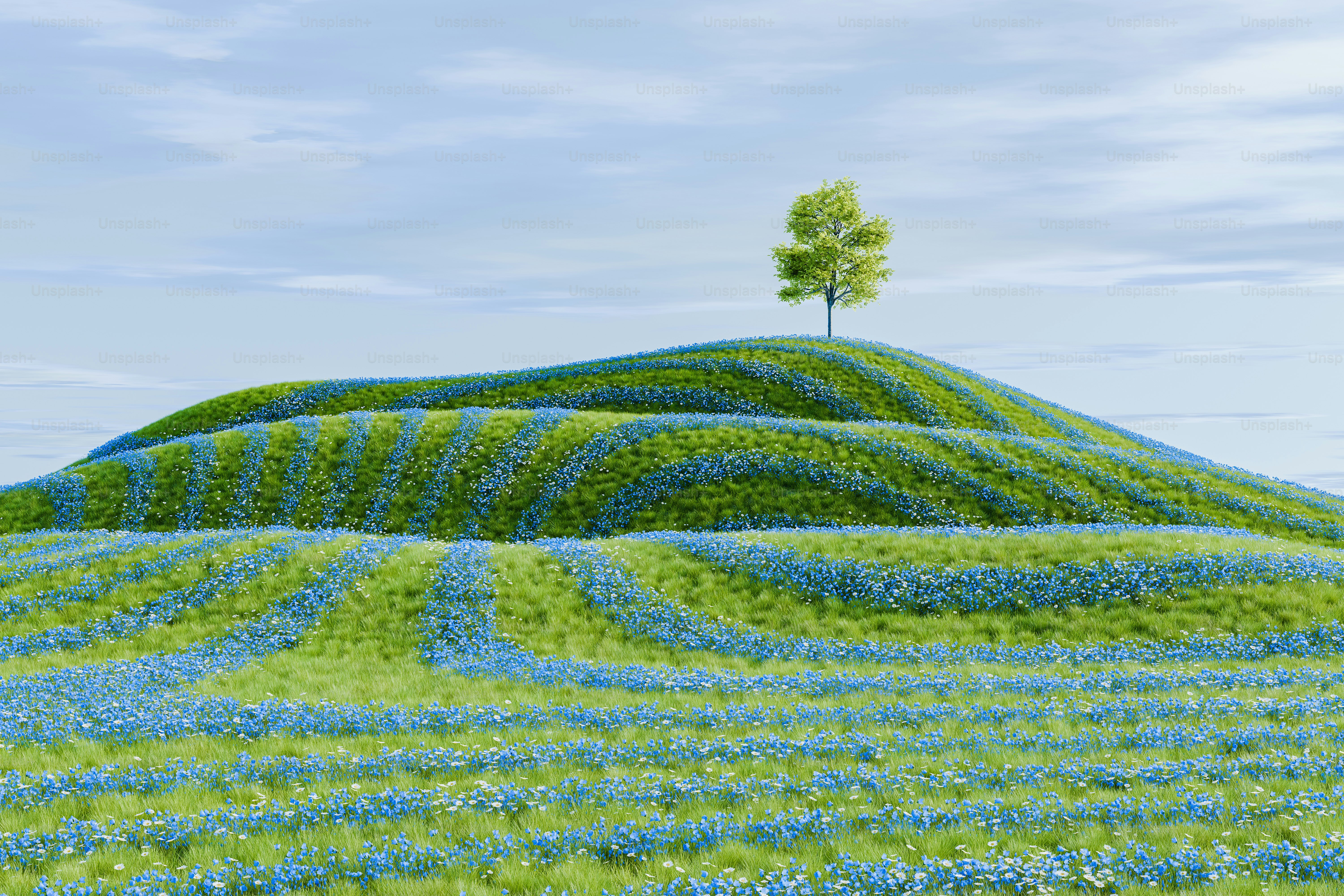 a tree on top of a hill covered in blue flowers