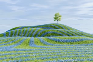 a tree on top of a hill covered in blue flowers