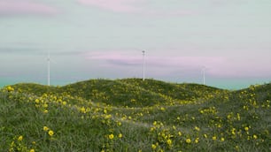 un campo di fiori gialli e mulini a vento sullo sfondo