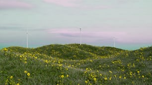 a field of yellow flowers and windmills in the background