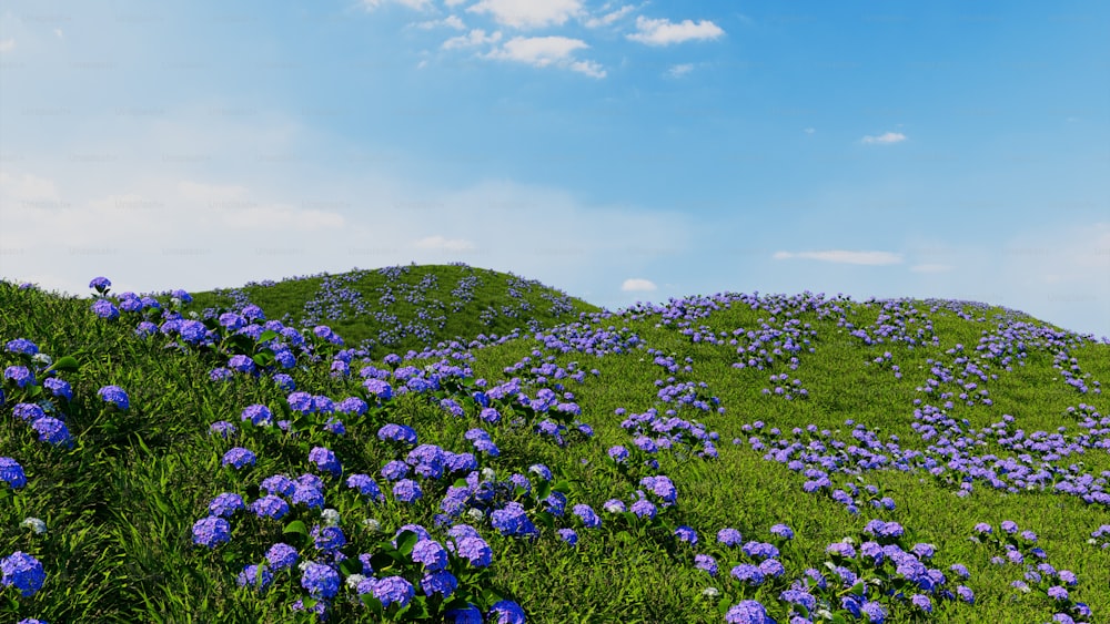 a hill covered in blue flowers under a blue sky