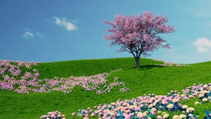 um campo de flores e uma árvore em uma colina