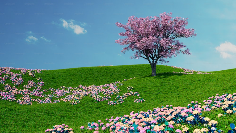 a field of flowers and a tree on a hill