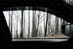 a view of a forest from a car window