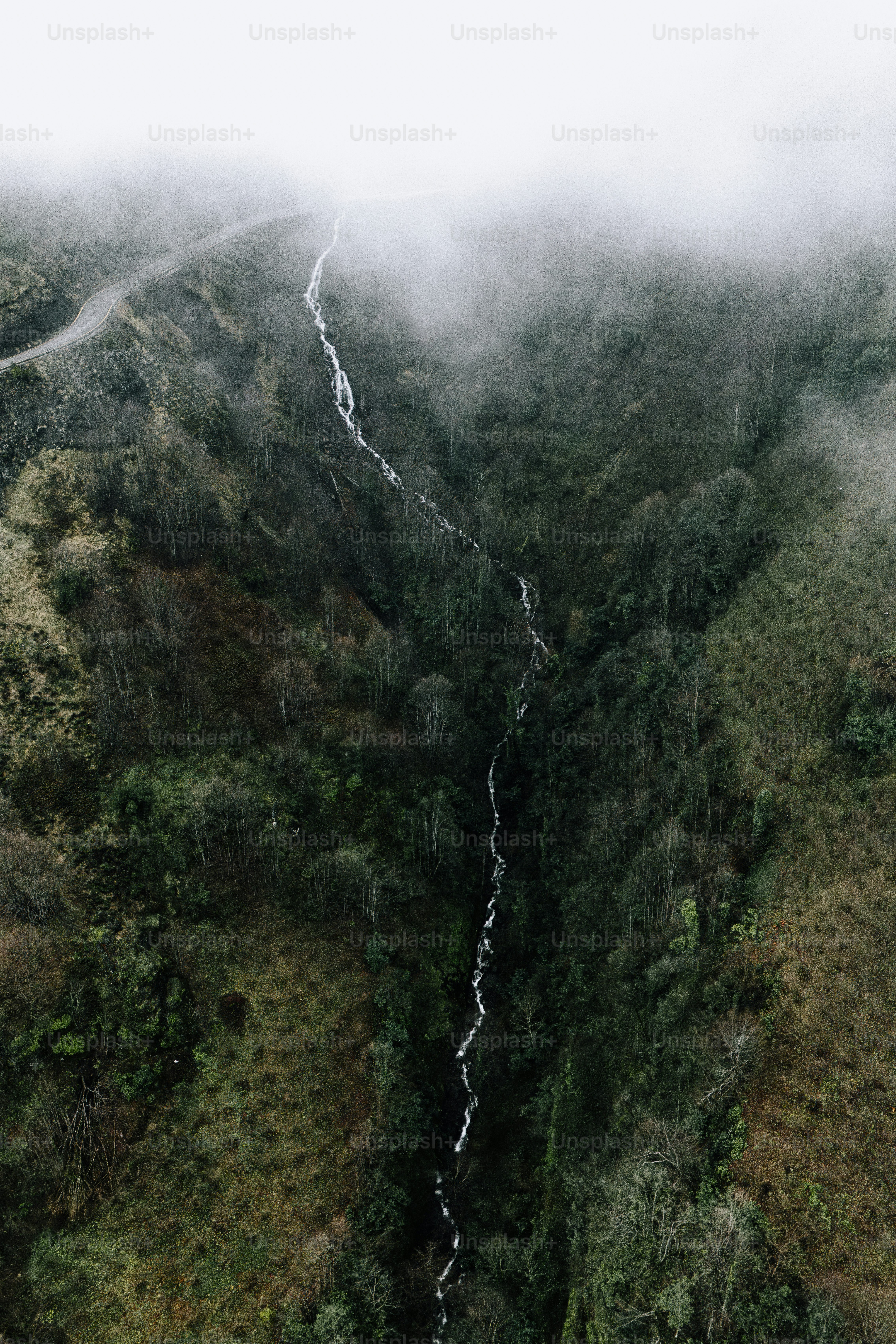 an aerial view of a stream in the middle of a forest