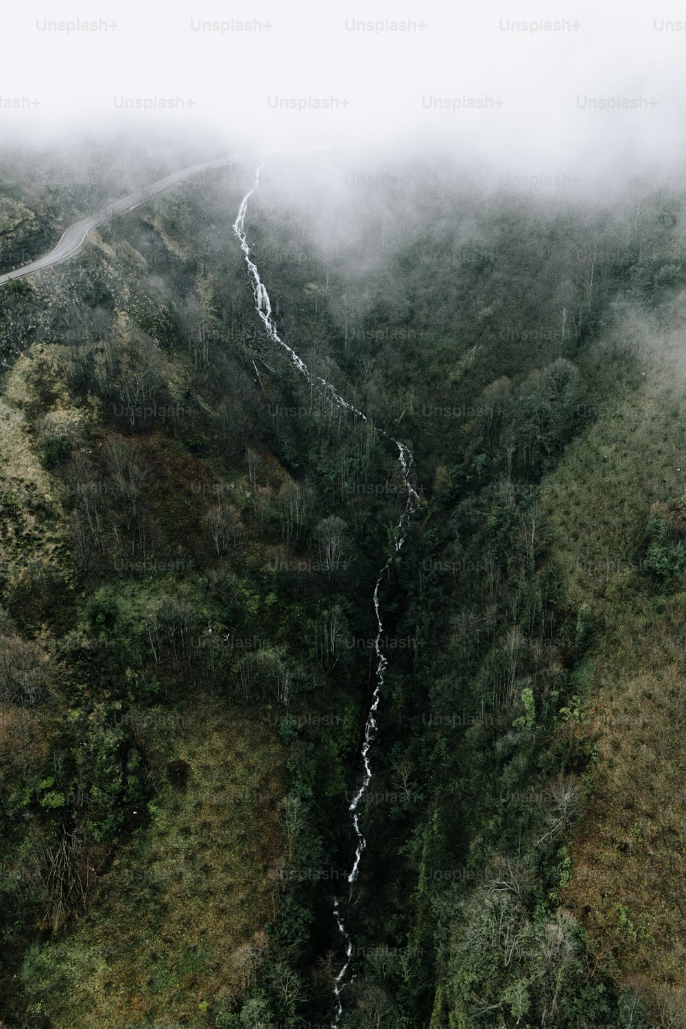 une vue aérienne d’un ruisseau au milieu d’une forêt