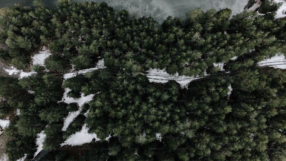 an aerial view of a snow covered forest