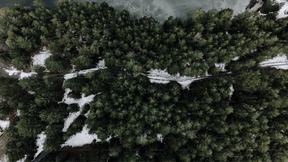 Una veduta aerea di una foresta innevata