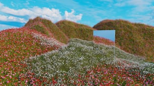 un campo de flores con un espejo en el centro