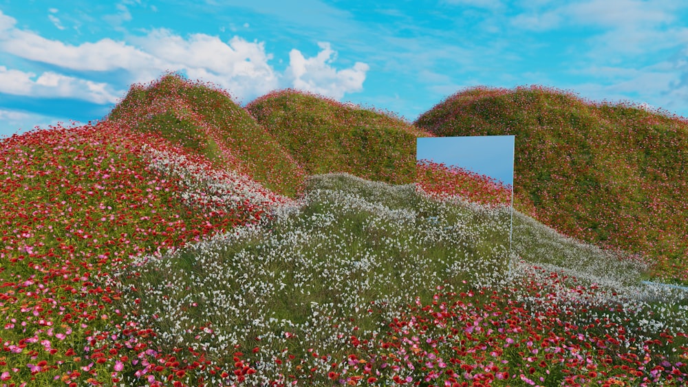 a field of flowers with a mirror in the middle
