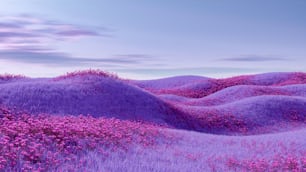 un champ de fleurs violettes sous un ciel bleu