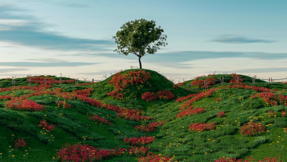 a tree on top of a hill covered in flowers