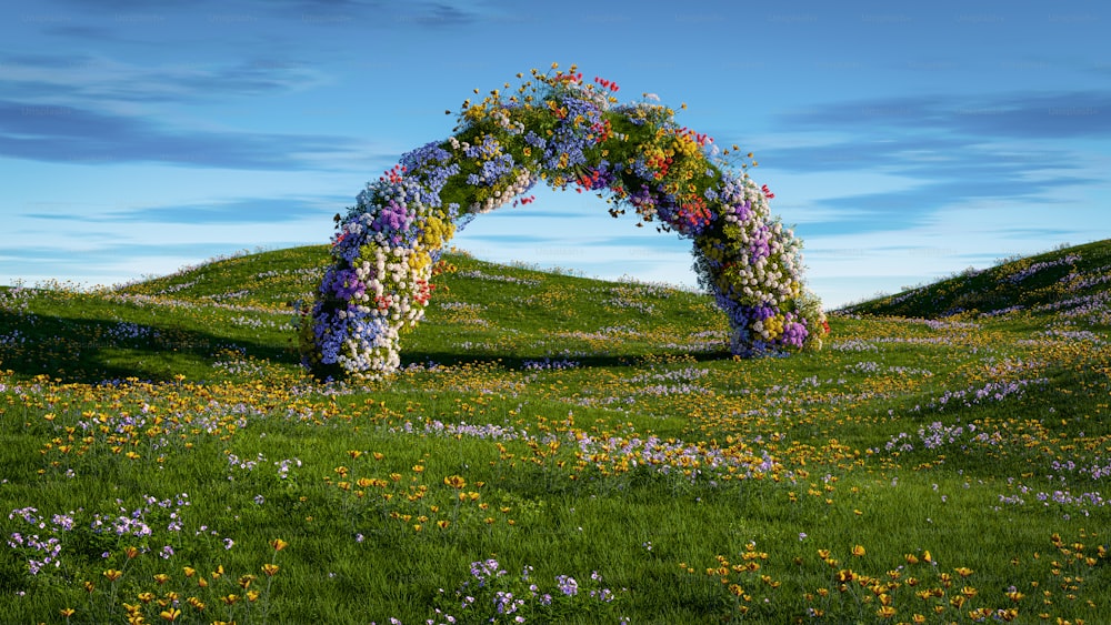 an arch made out of flowers in a field