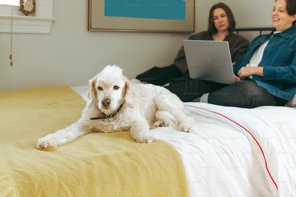two women sitting on a bed with a dog and a laptop