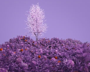 a tree in a field of purple flowers