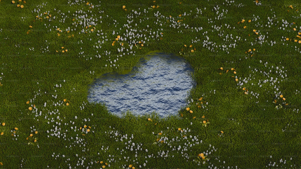 a blue hole in the middle of a field of flowers