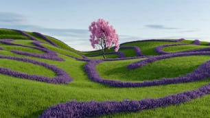 a tree in the middle of a field of lavender