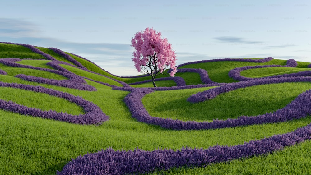 a tree in the middle of a field of lavender