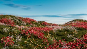a field full of red and white flowers under a blue sky