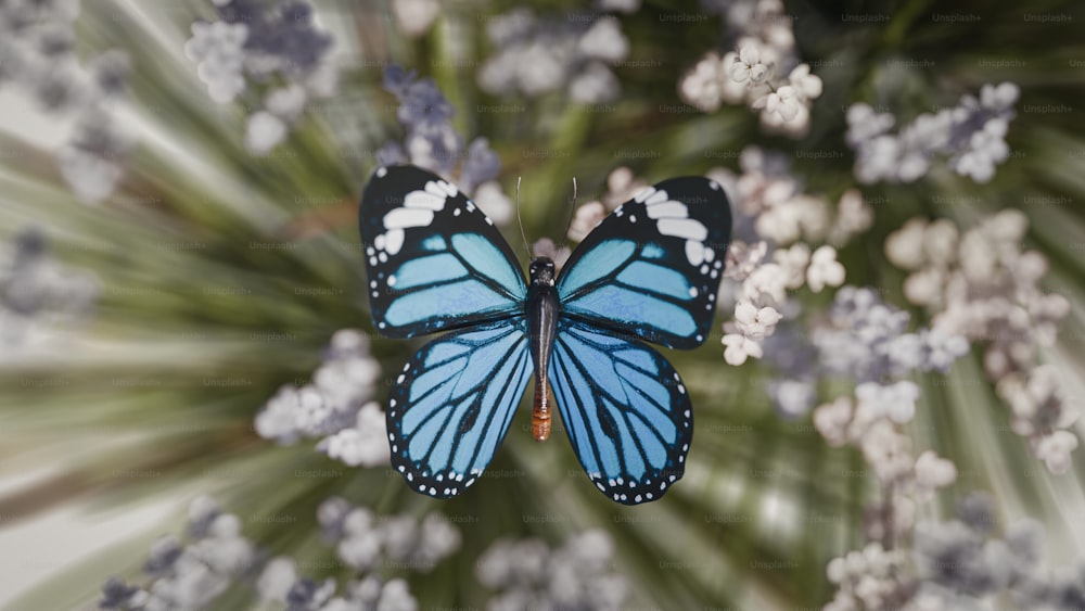 a blue butterfly sitting on top of a flower