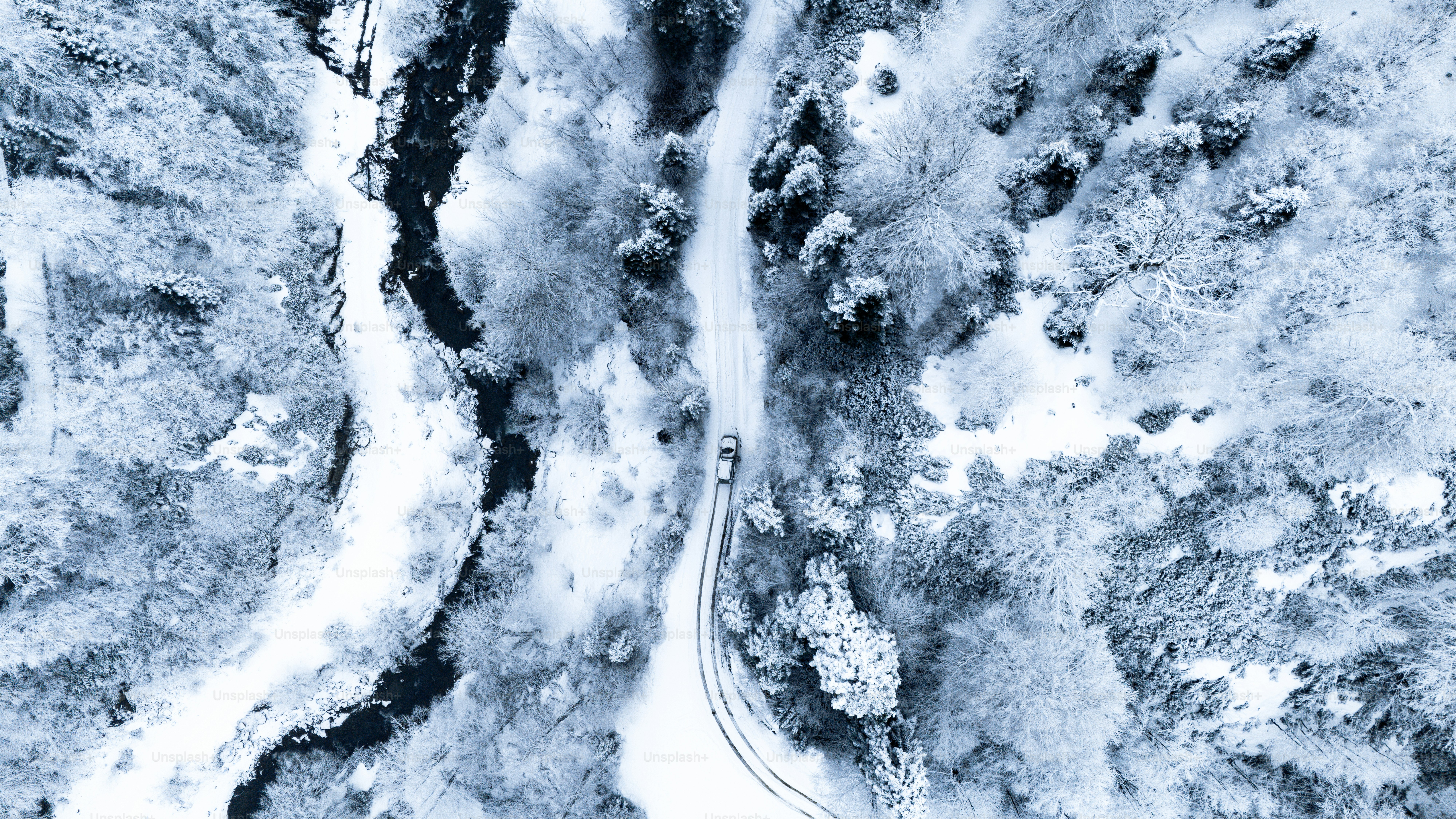 Luftaufnahme eines verschneiten Waldes