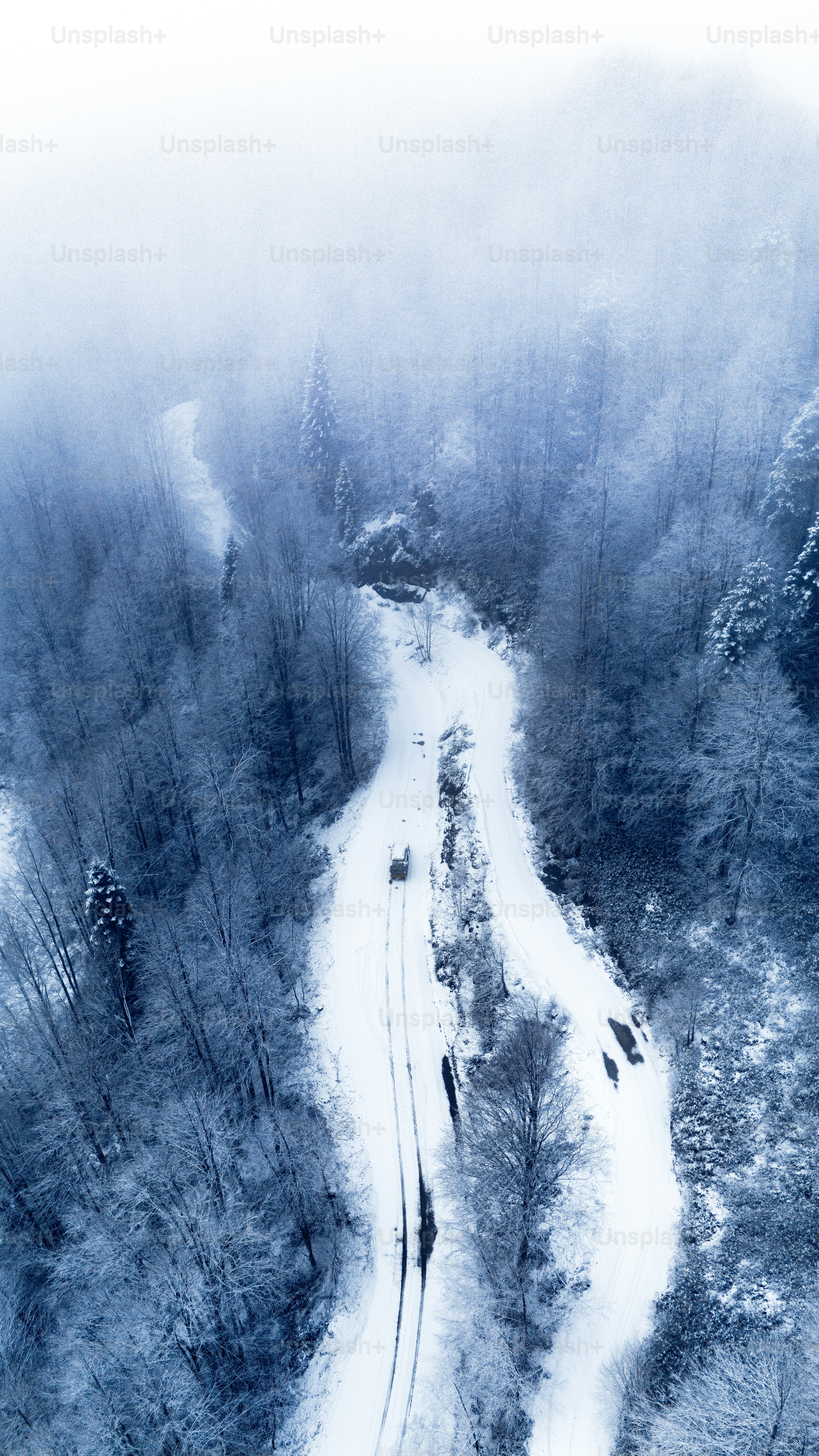 a train traveling through a snow covered forest