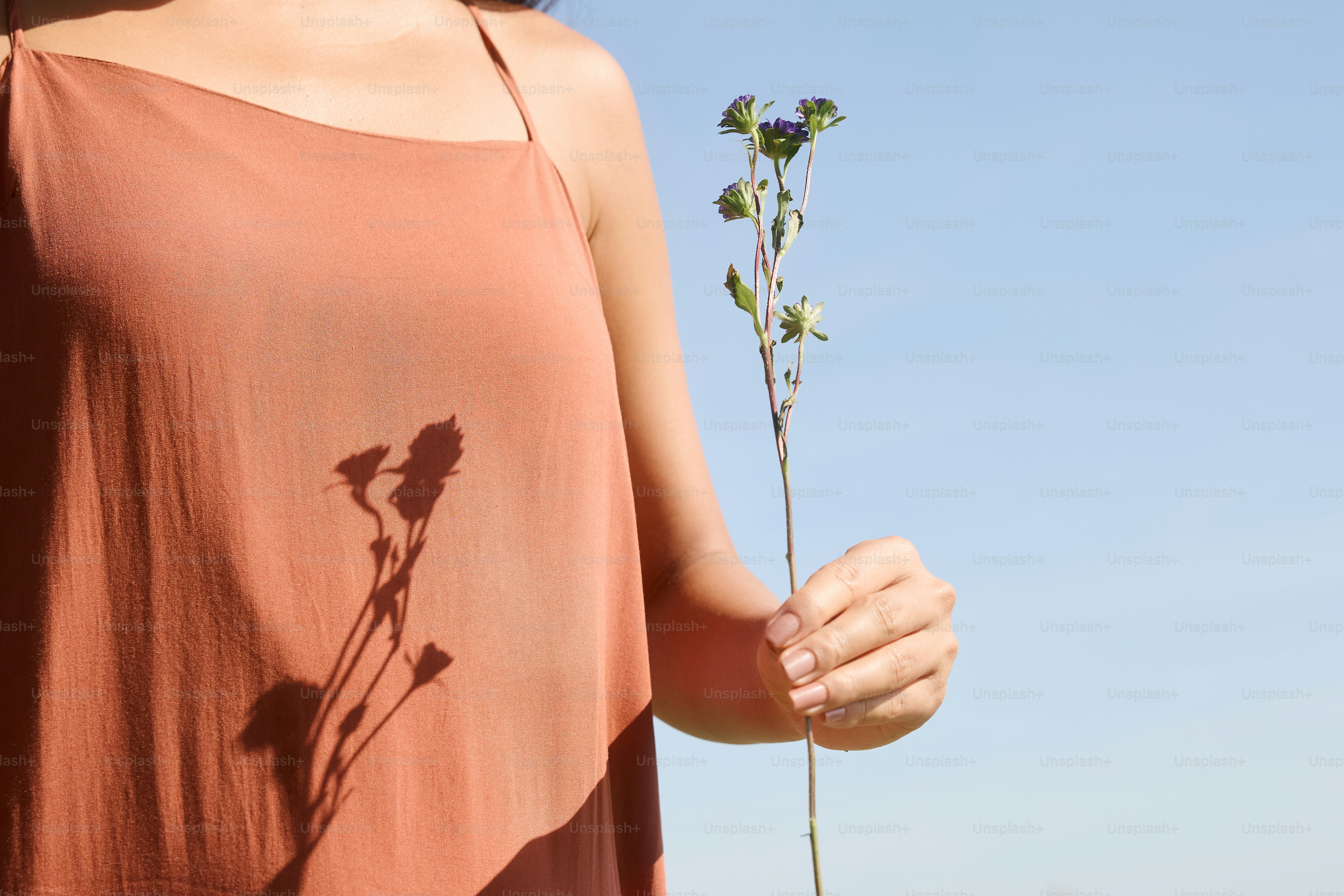 A woman with a flower in her hair photo – Flower Image on Unsplash