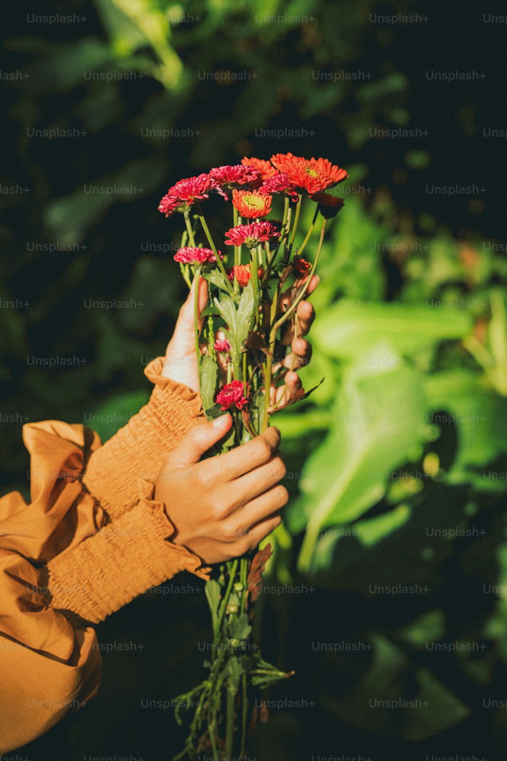 une personne tenant un bouquet de fleurs dans ses mains