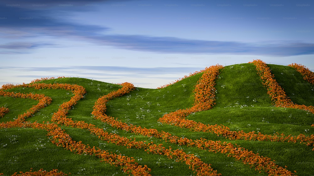 青空の下、オレンジ色の花に覆われた草原の丘