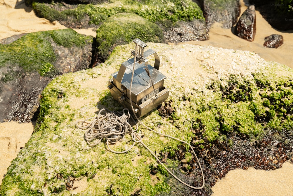 a remote control device sitting on top of a rock covered in moss