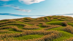 a grassy hill with a maze in the middle of it