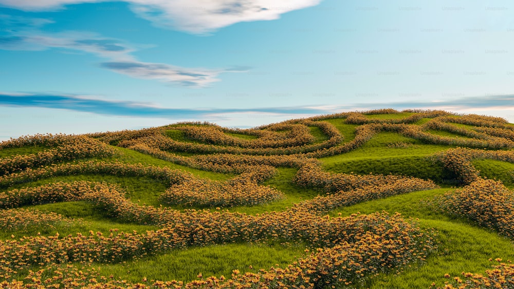 a grassy hill with a maze in the middle of it