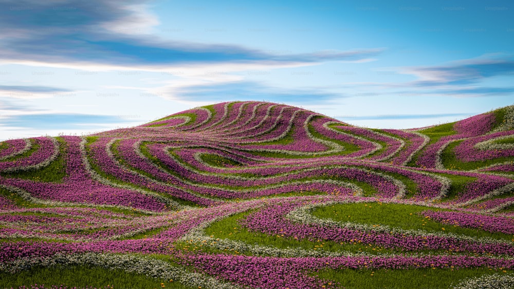 a hill covered in purple flowers under a blue sky