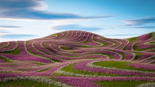 a hill covered in purple flowers under a blue sky
