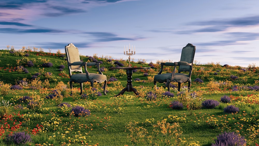 a couple of chairs sitting on top of a lush green field