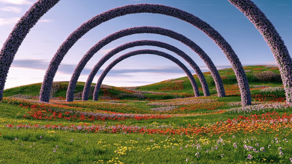 a bunch of arches that are in the grass