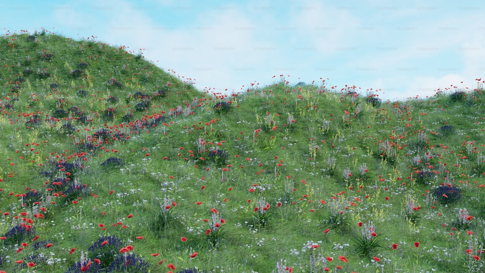 un dipinto di una collina erbosa con fiori rossi e bianchi