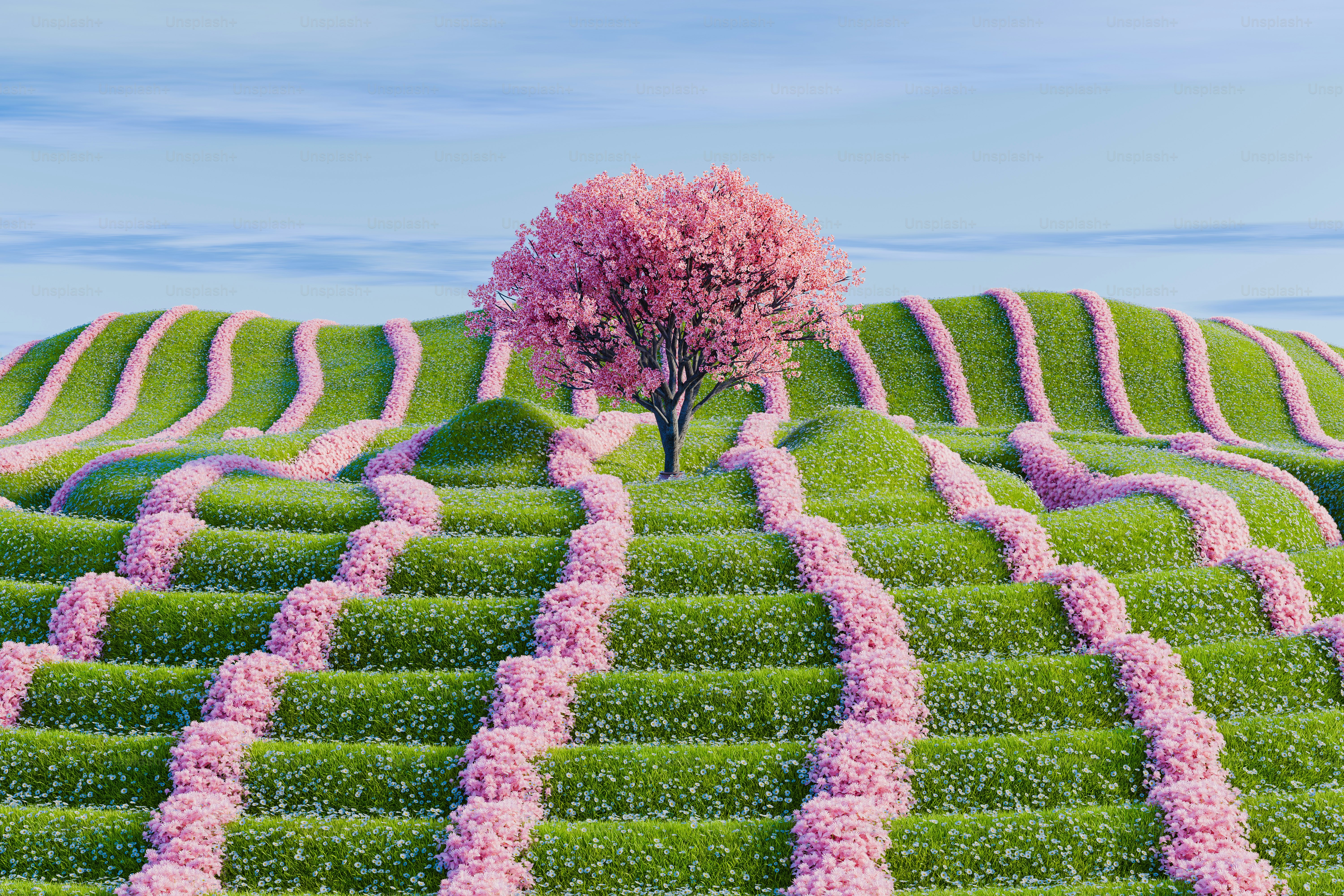 🇯🇵 Japon : entre traditions millénaires et modernité éclatante