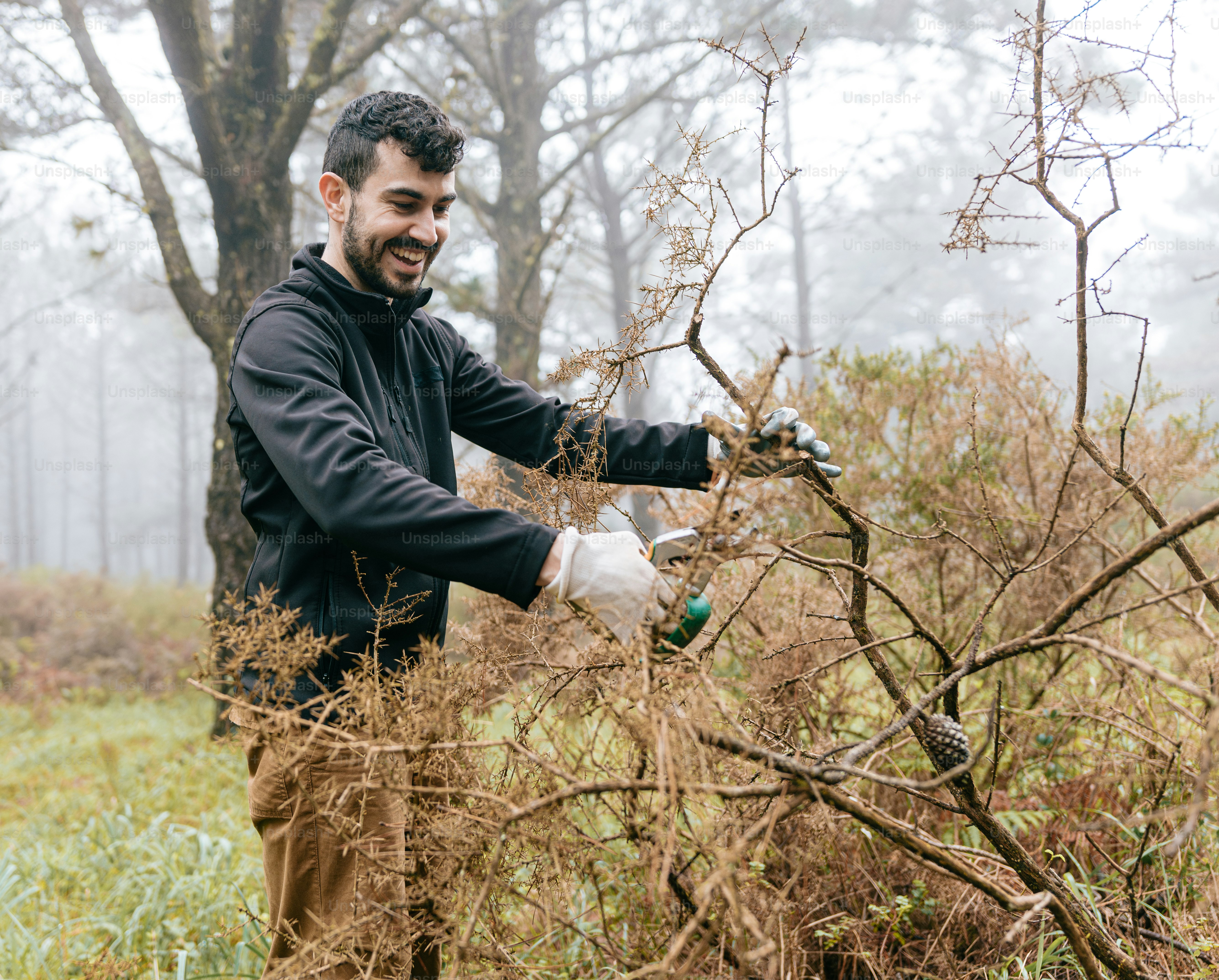 a man is trimming a tree with a pair of gloves
