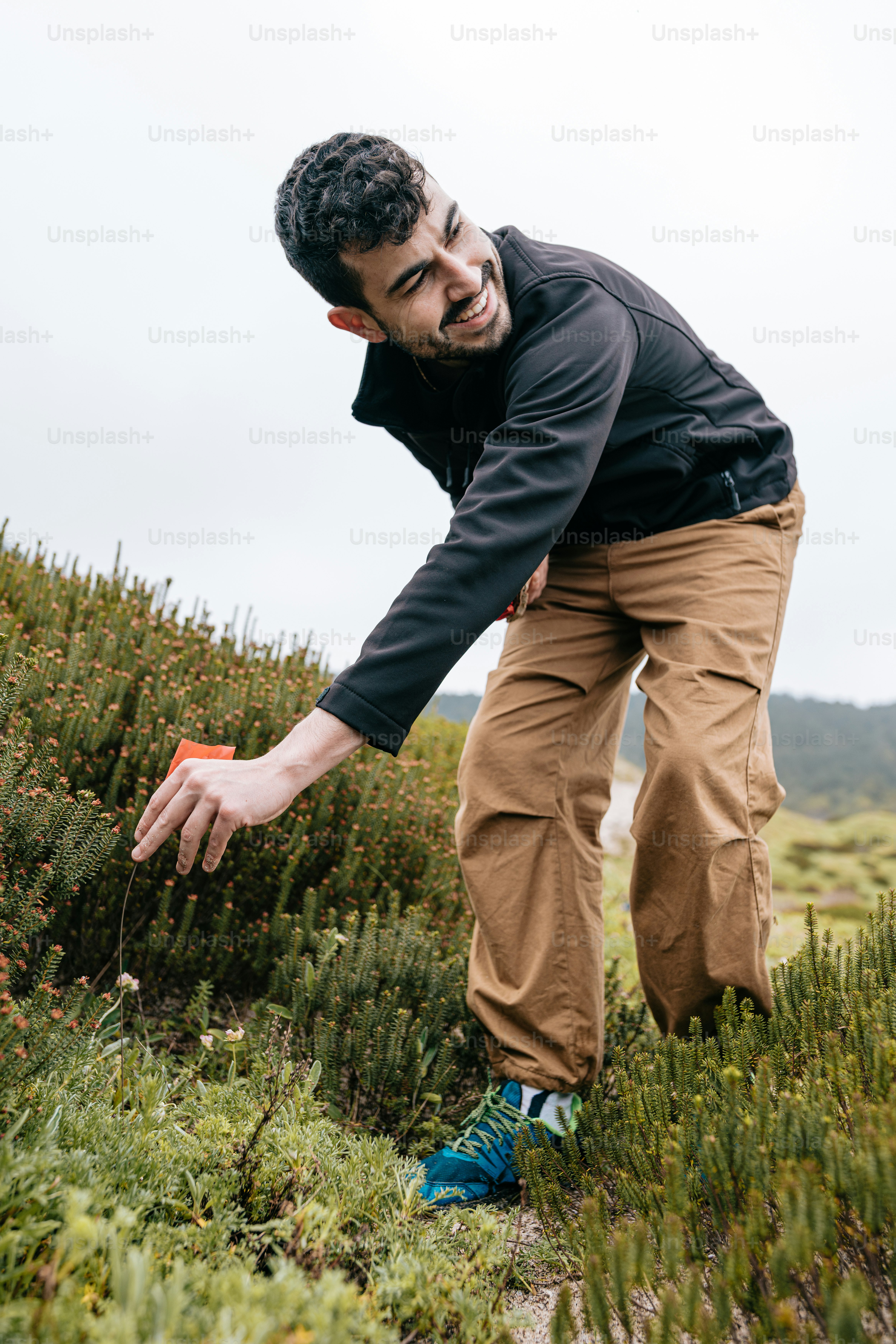 A man reaching for something in the grass photo – Plant Image on Unsplash