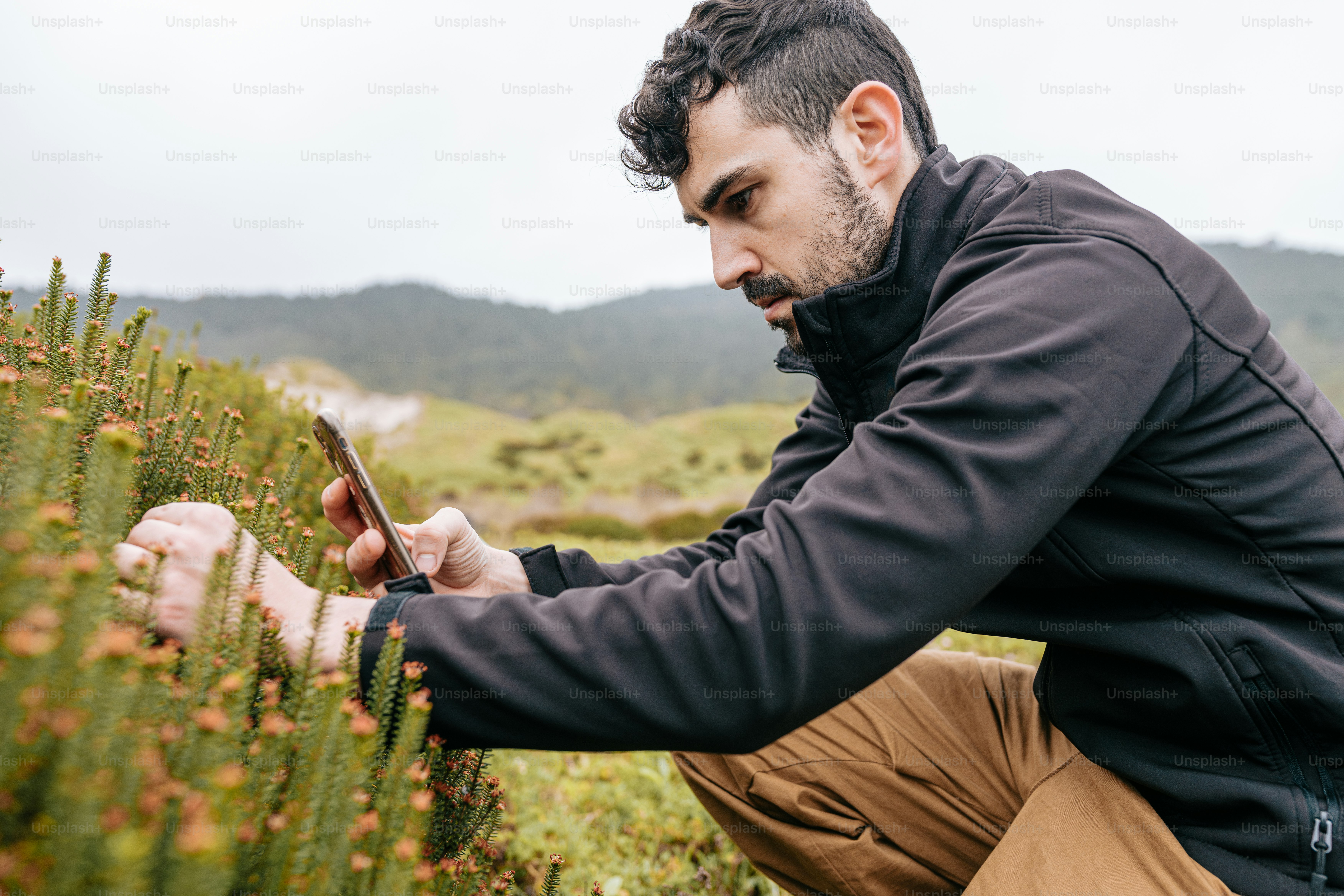 A person measuring a tree with a tape measure photo – Plant Image on ...