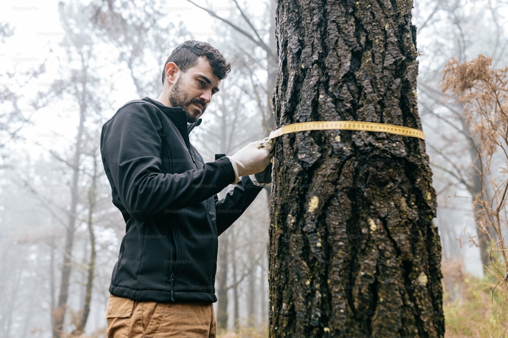 un homme mesurant un arbre avec un ruban à mesurer