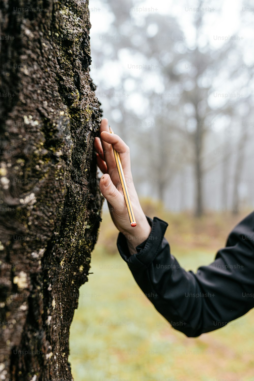 a person holding a pencil up against a tree