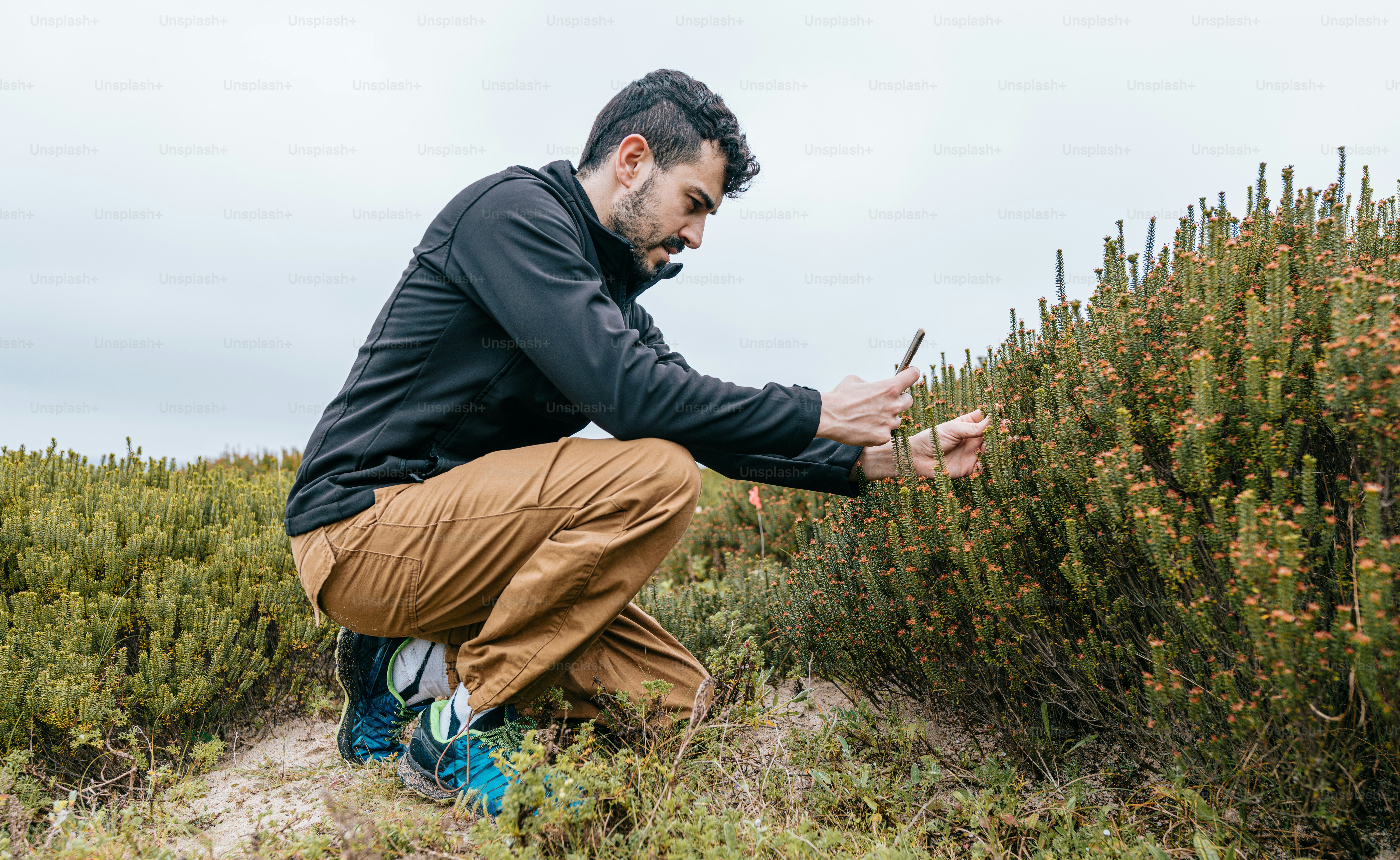 a man kneeling down in front of a bush