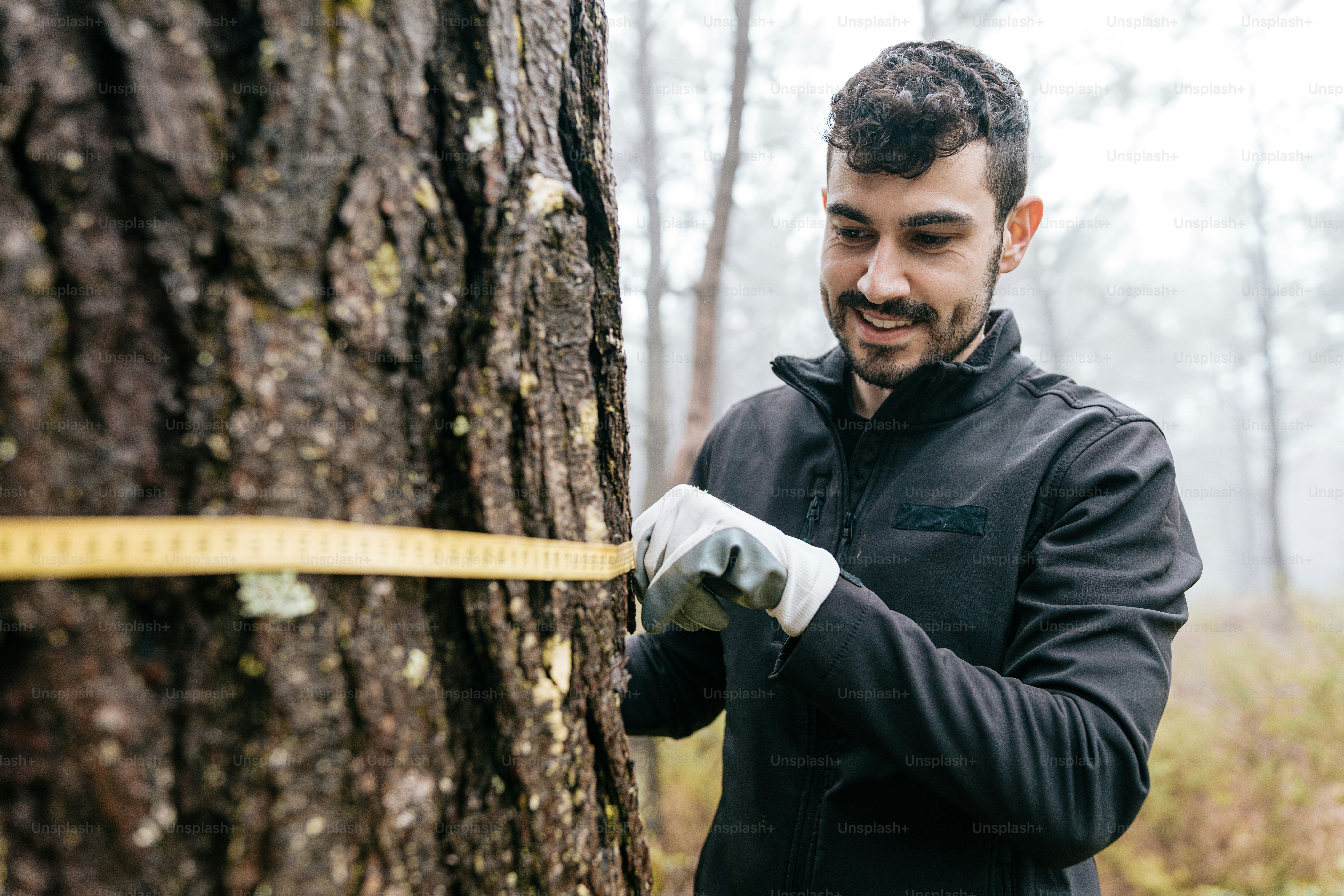 a man measuring the height of a tree