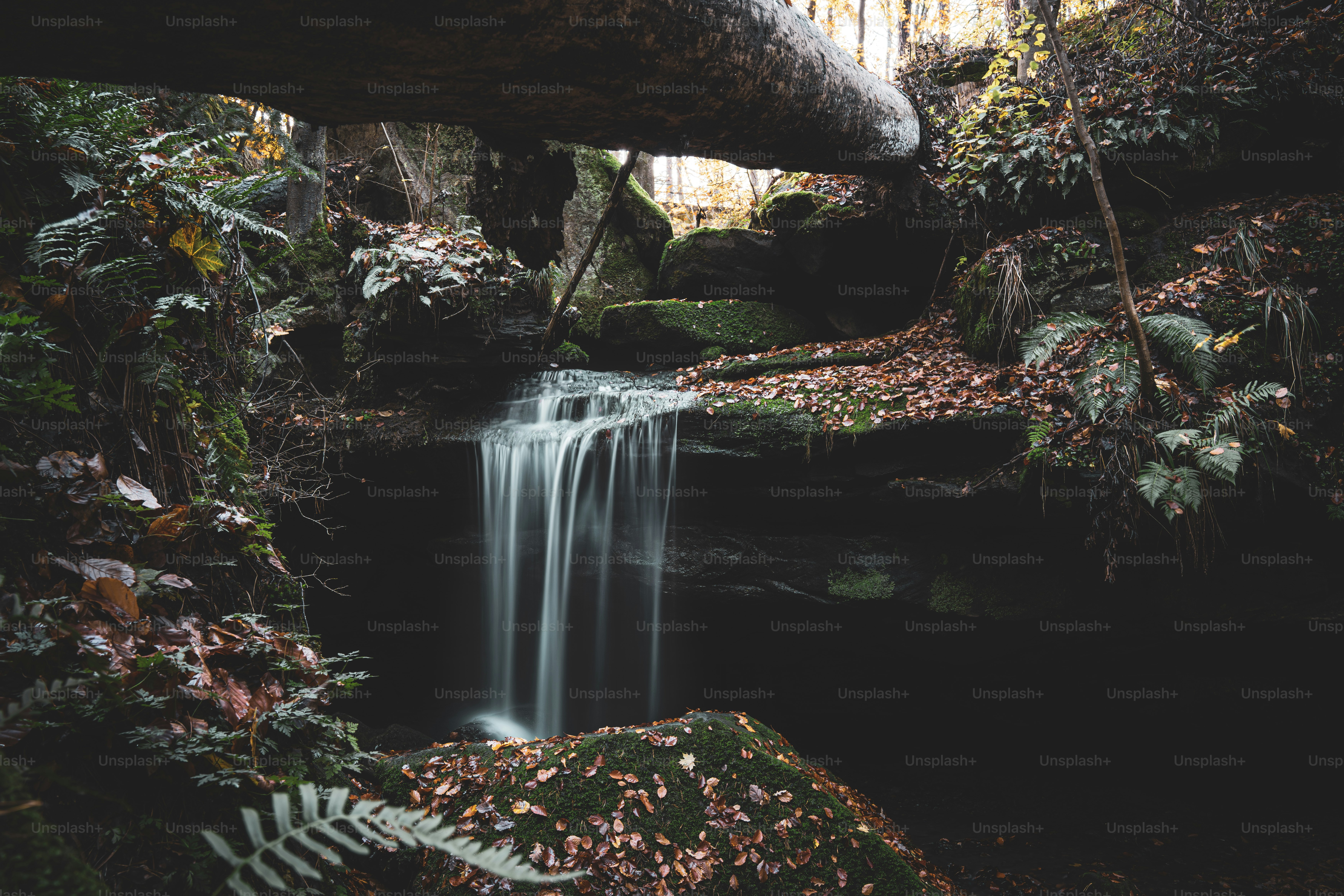a small waterfall in the middle of a forest